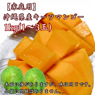 【家庭用1kg】沖縄県産キーツマンゴー(1〜3玉)