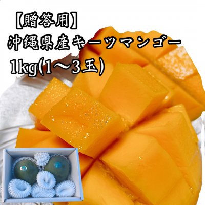 【贈答用1kg】沖縄県産キーツマンゴー(1〜3玉)
