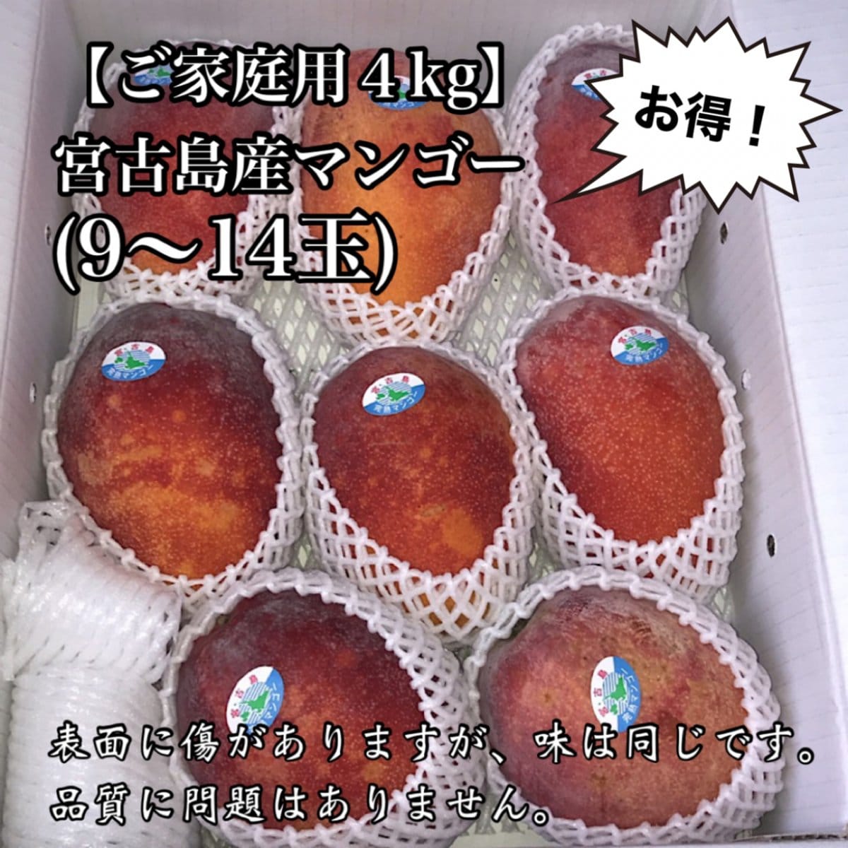 どんツク祭り!!!お得‼︎高ポイント【家庭用4kg】訳あり＆傷もの|沖縄県産アップルマンゴー(8〜12玉)|うみりく食品卸センター(旧なかま商店)