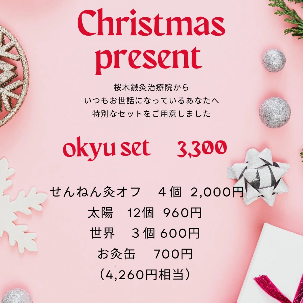 【クリスマスセット】　OKYU SET　　3300円