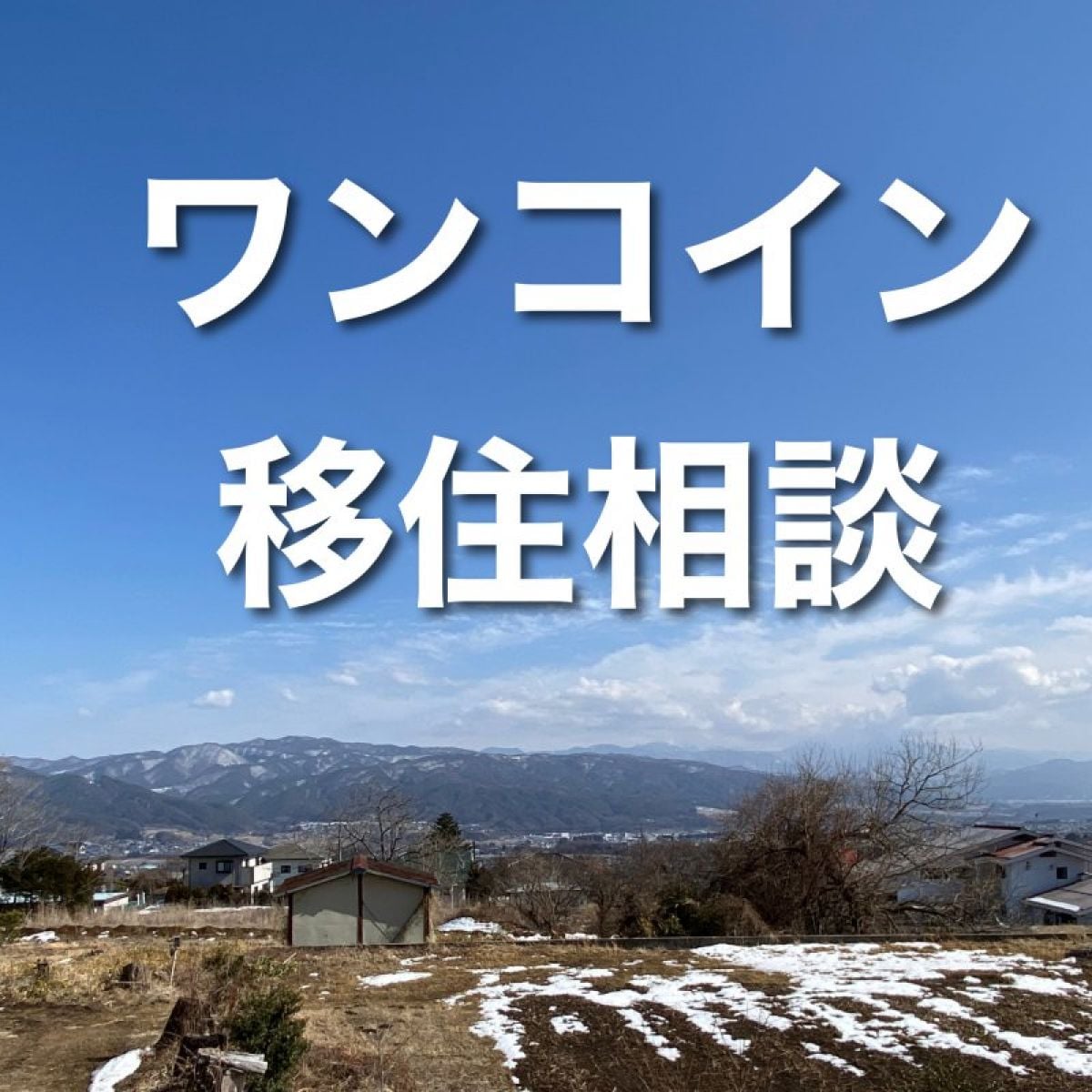 ワンコイン移住相談