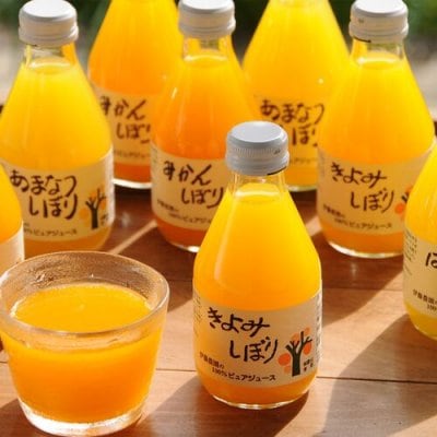 和歌山 伊藤農園 5種の柑橘ジュース単品購入でも送料無料