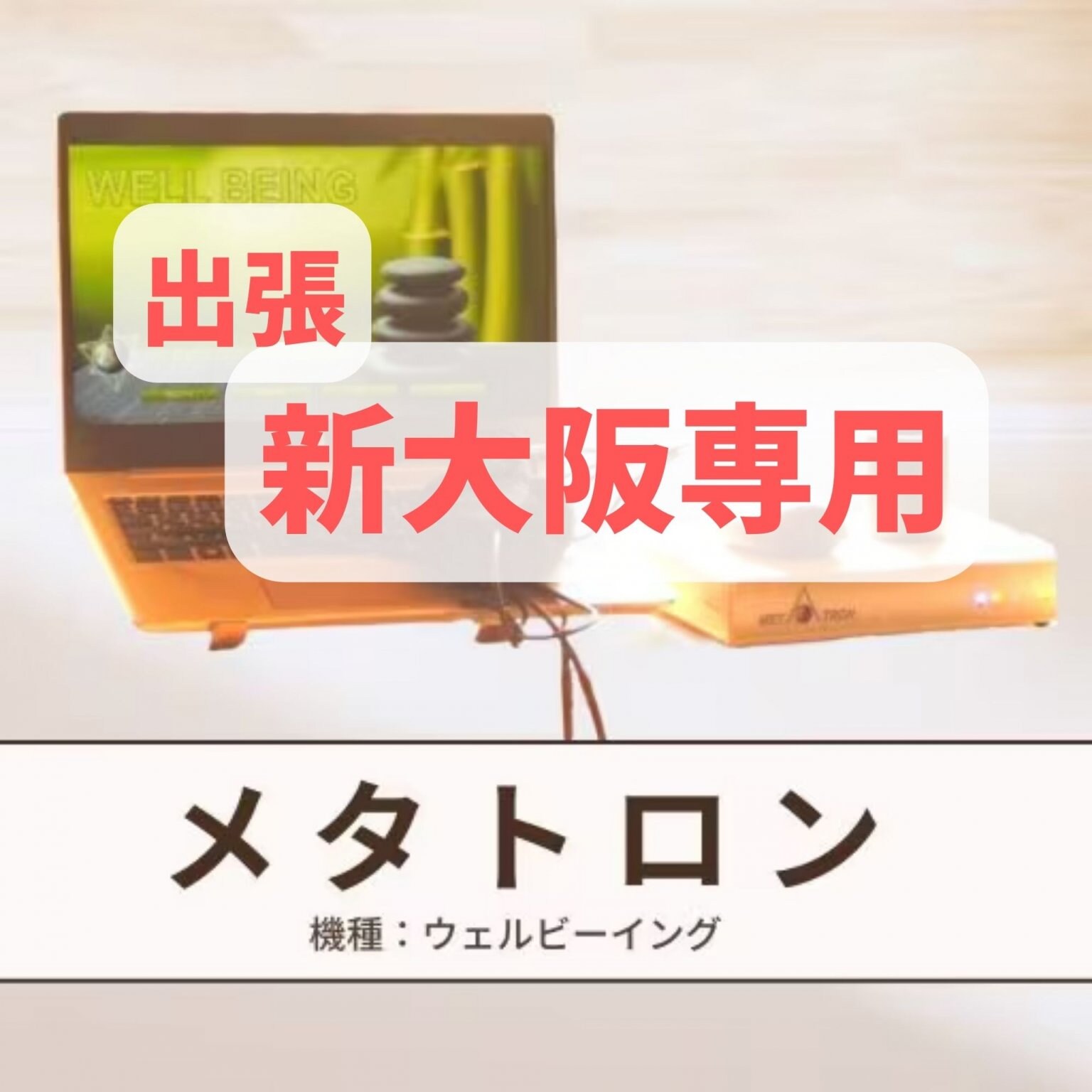 【新大阪出張専用】周波数測定メタトロンセッション　１時間(※延長可)　＊内海聡医師による上級講座修了証書取得済み＊　食事・パワーストーン・深層心理・潜在意識