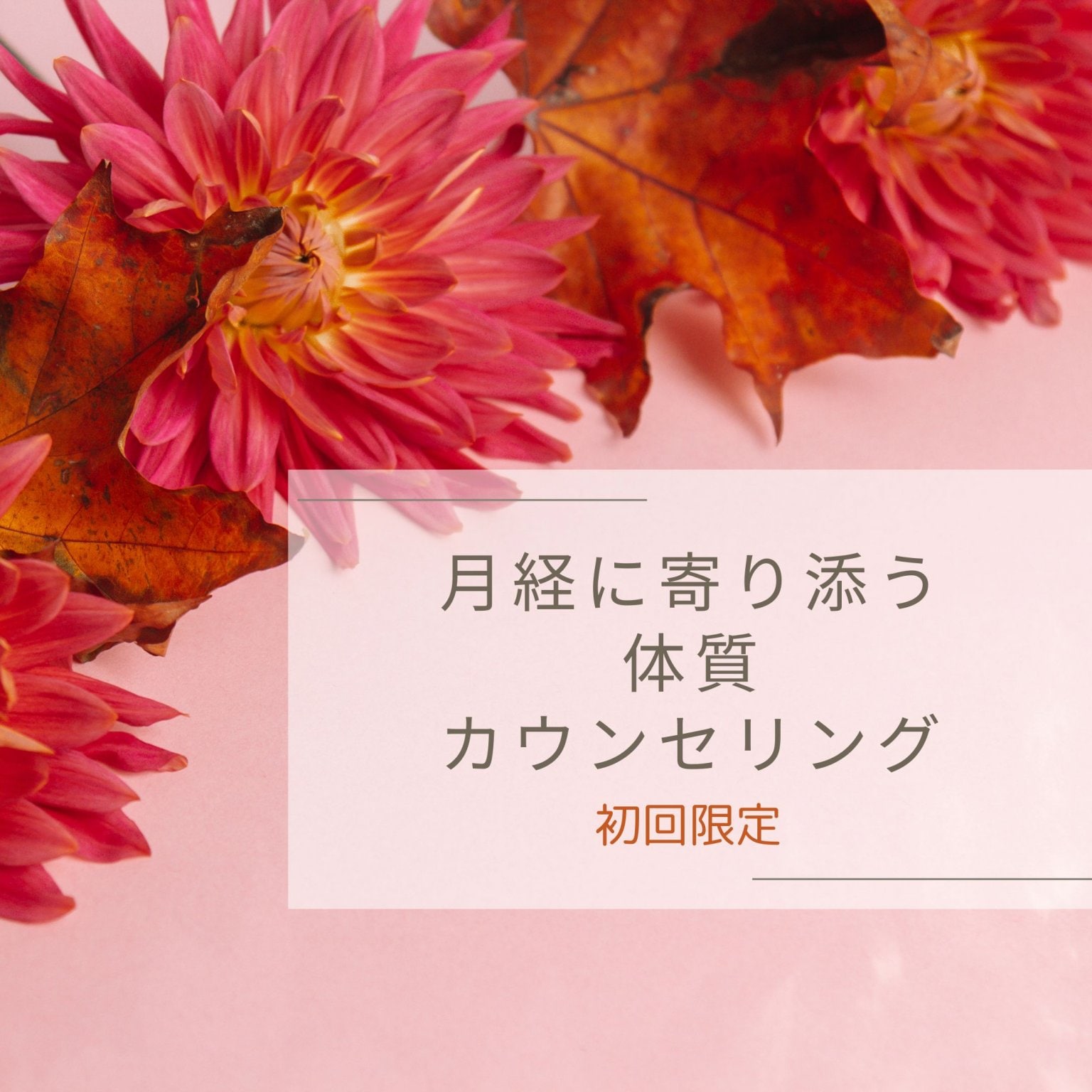 初回限定　月経に寄り添う体質カウンセリング