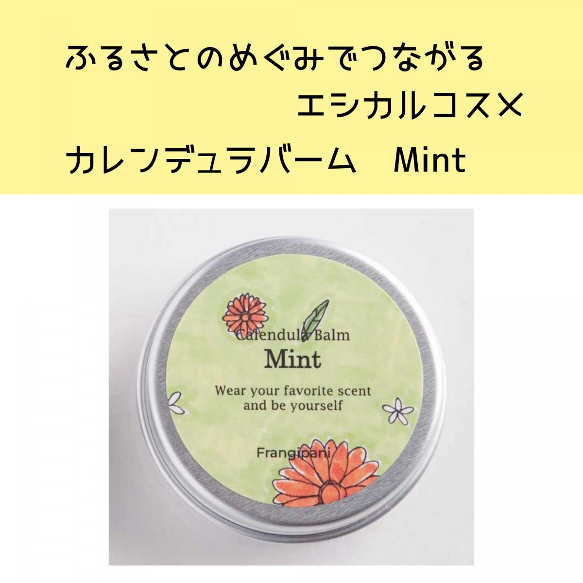 【北海道の無農薬ハーブを使ったコスメ《Mint 10g》】ふるさとをつなぐエシカルコスメ　カレンデュラバーム