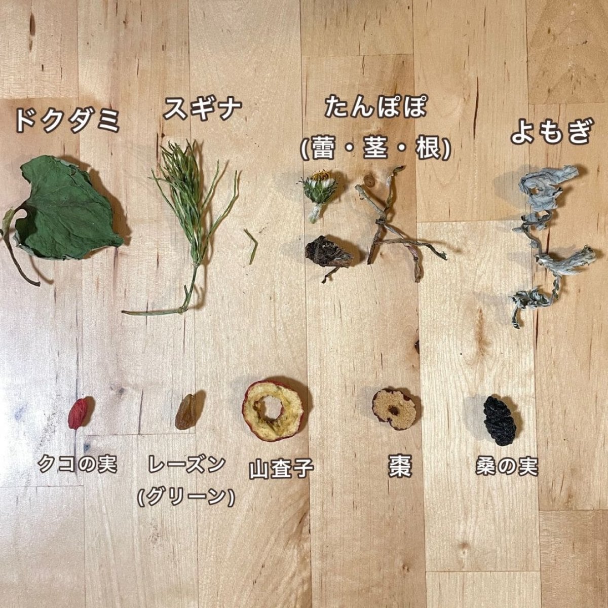 10/17(金）開催『ハーブを楽しむ会』目黒住区センター（三田分室）オリジナルブレンドハーブティを作る