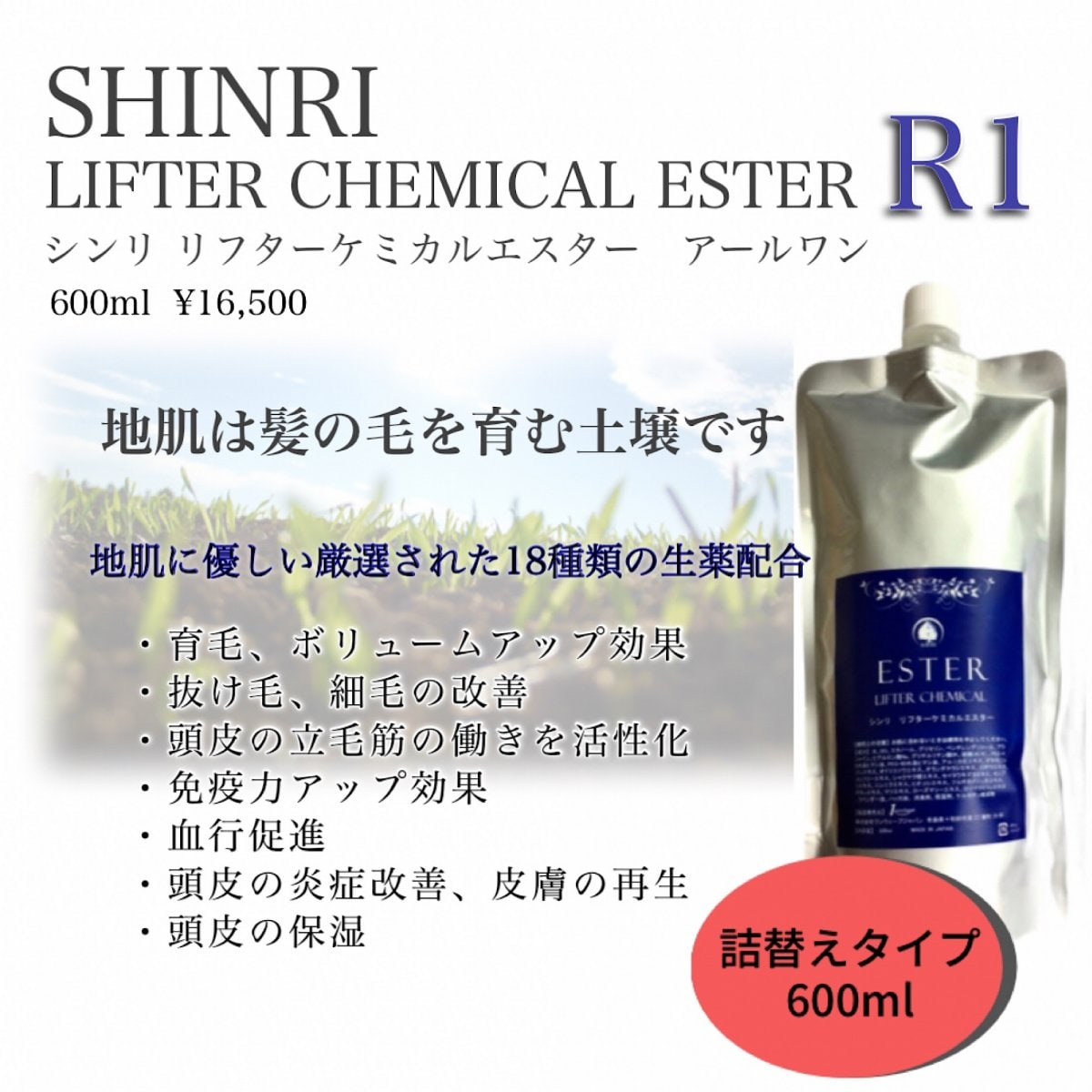 600ml 詰替【シンリ|育毛剤】SHINRI リフターケミカルエスター R1