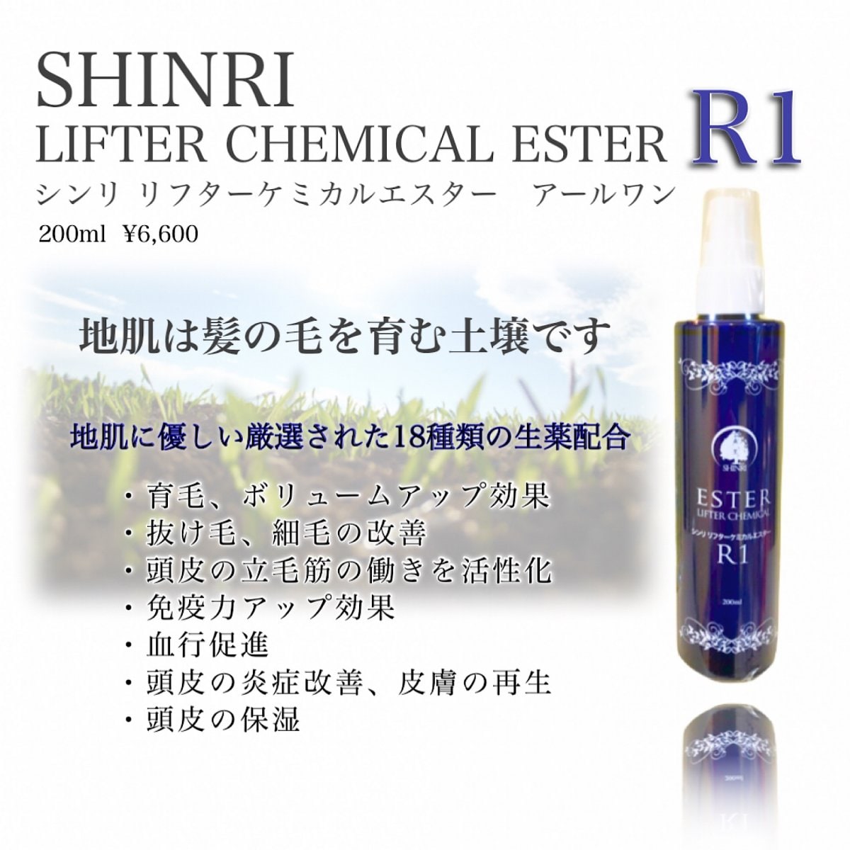 200ml【シンリ|育毛剤】SHINRI リフターケミカルエスター R1