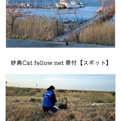 妙典Cat fellow net 寄付【定期】