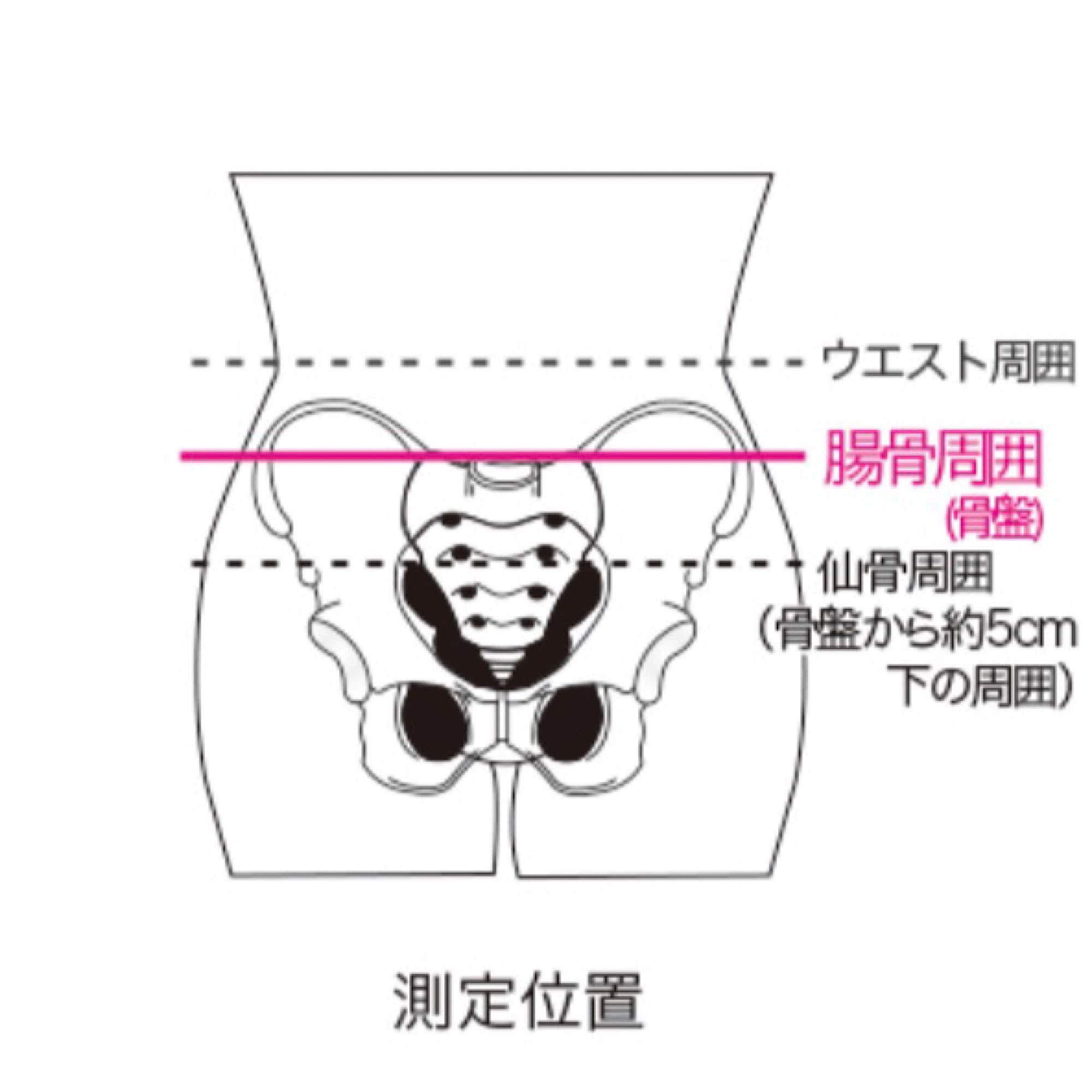 腰コルセット（日常用）サイズM/L ストレイン