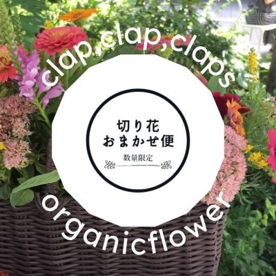【S様専用】オーガニックフラワーのお花の定期便│季節のお花 (月2回・送料無料)│クラップクラップクラップス clapclapclaps