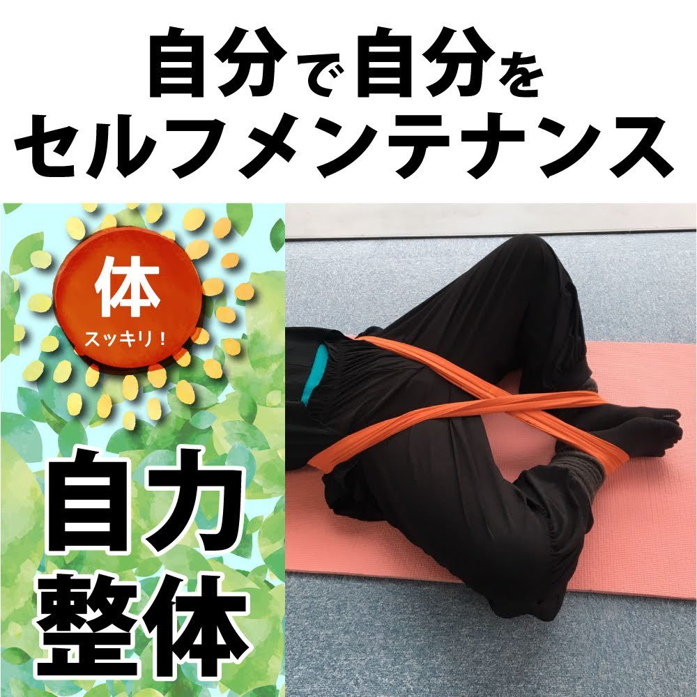 写真で見る姿勢均整術と整復手技 写真で見る姿勢均整術と整復手技 身体均整法学園 🎓《整体