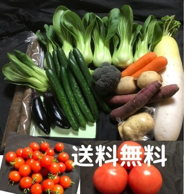 野菜セット（おまかせお野菜）送料無料でお届け（一部地域を除く）