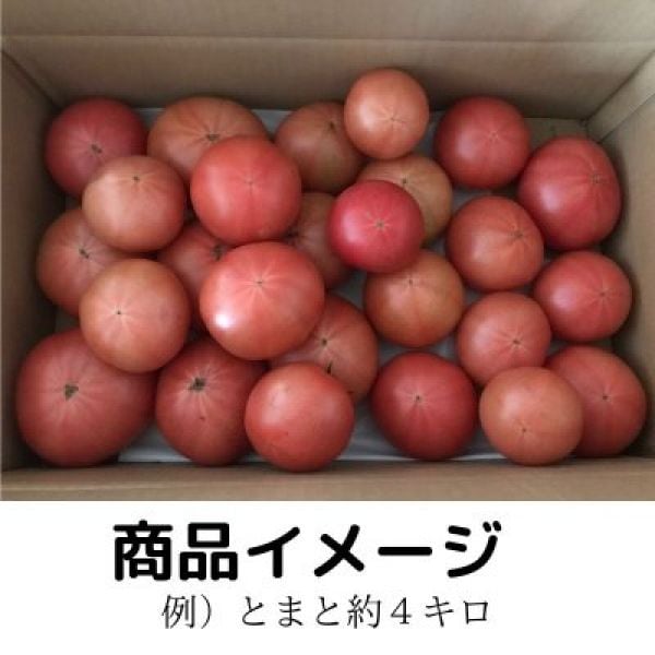 新鮮トマト　５キロ