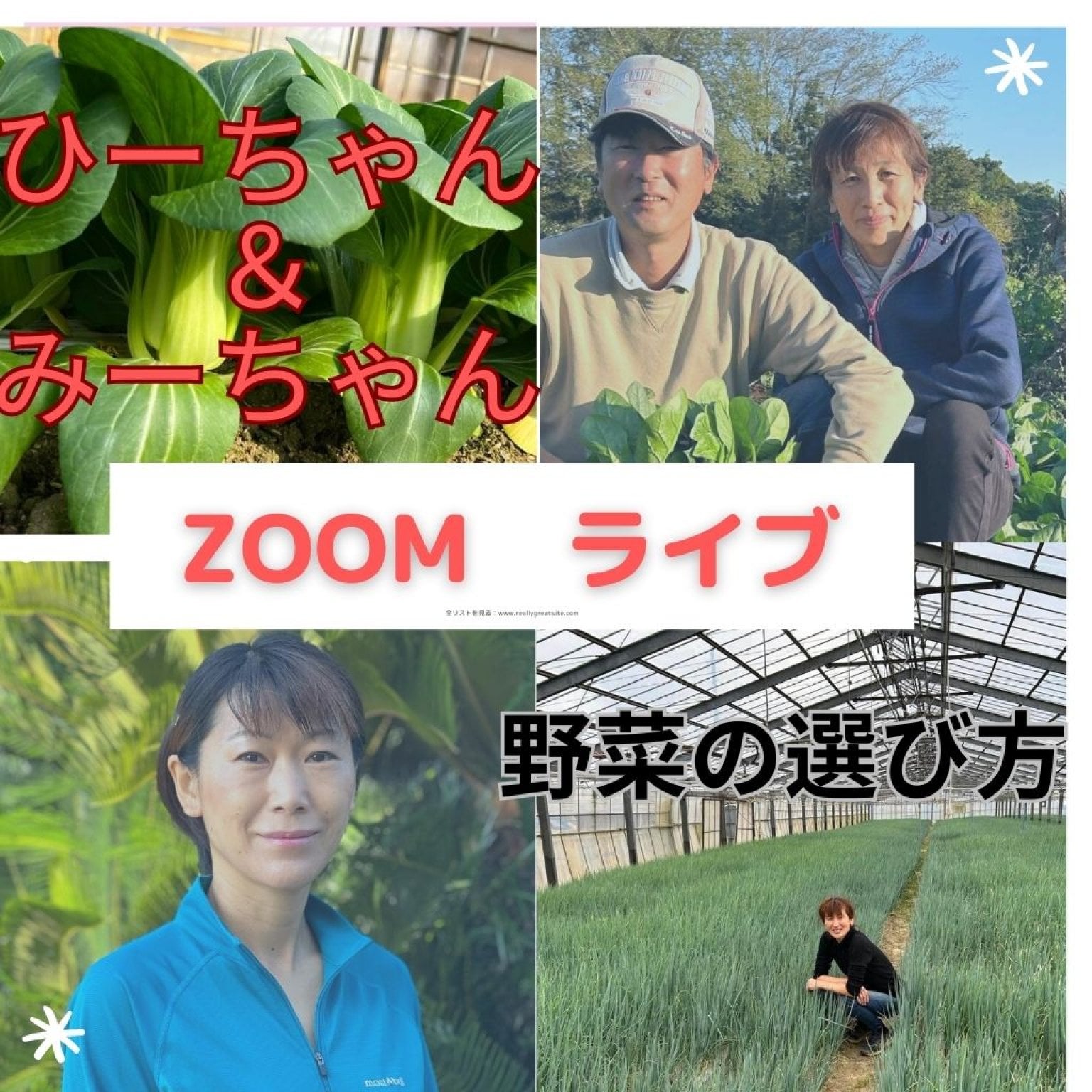 動画販売　農業女子　ひーちゃん＆みーちゃんの耳より情報ZOOMライブ★野菜の選び方編