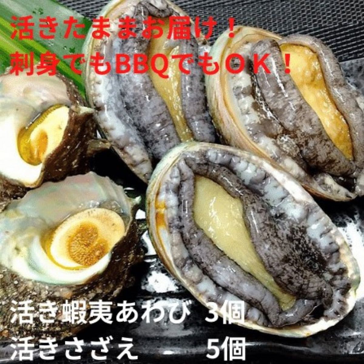 お得セット q 活きもの あわび 3個 さざえ5個 生産者応援セット