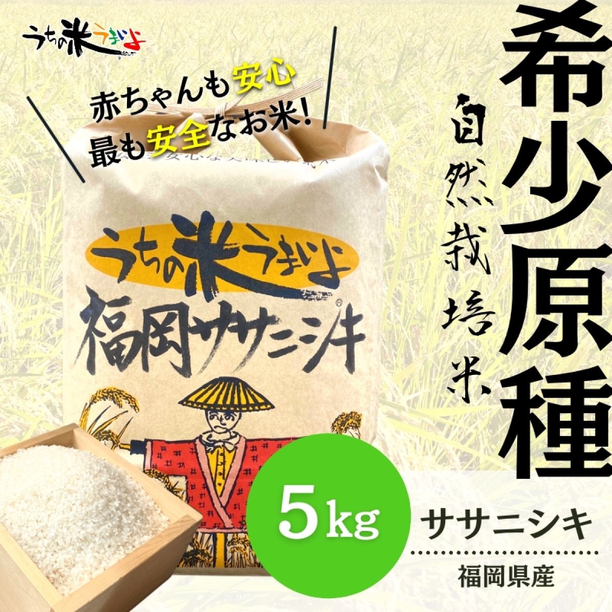 5kg【希少な固定種】福岡県産ササニシキ【自然栽培米】