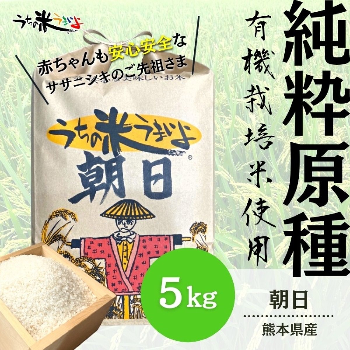 5kg新米入荷!！【純粋原種】熊本県産　朝日【有機栽培米】