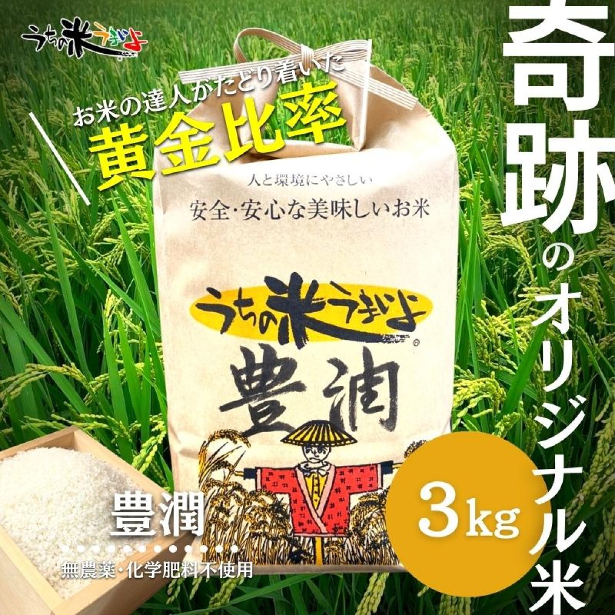 74%OFF!】 新米 白米 特別栽培米コシヒカリ５ｋｇ有機肥料減農薬栽培
