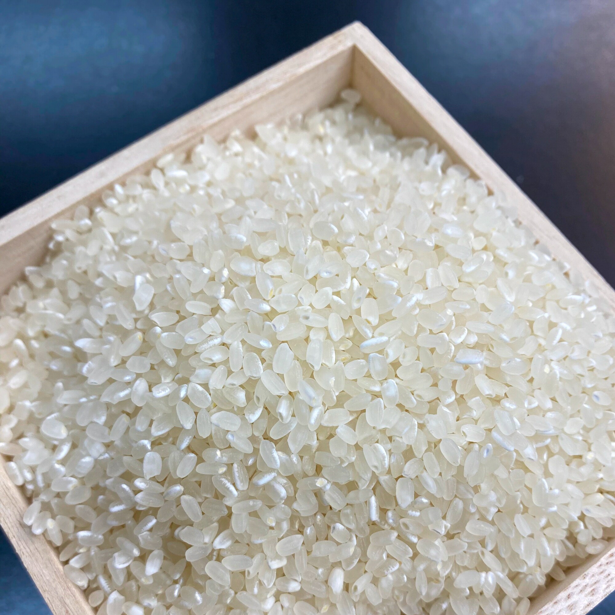 お試し米‼︎2合300g ✖️3種類セット 美味しい有機・特別栽培のお米