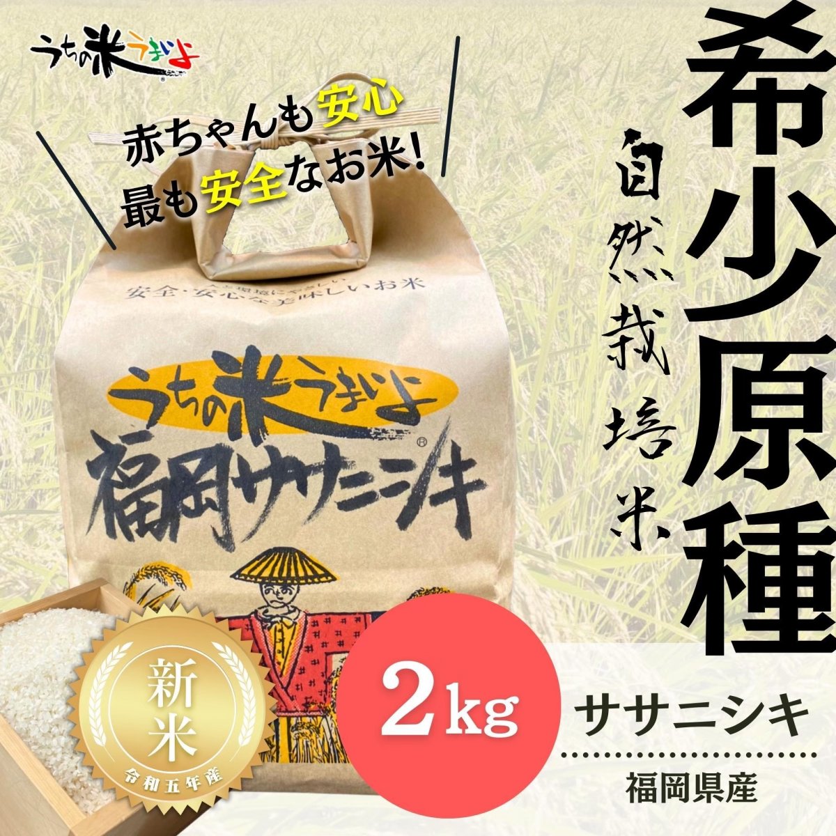 新米入荷‼︎２kg【希少な固定種】福岡県産ササニシキ【自然栽培米】〜数少ない貴重なお米です