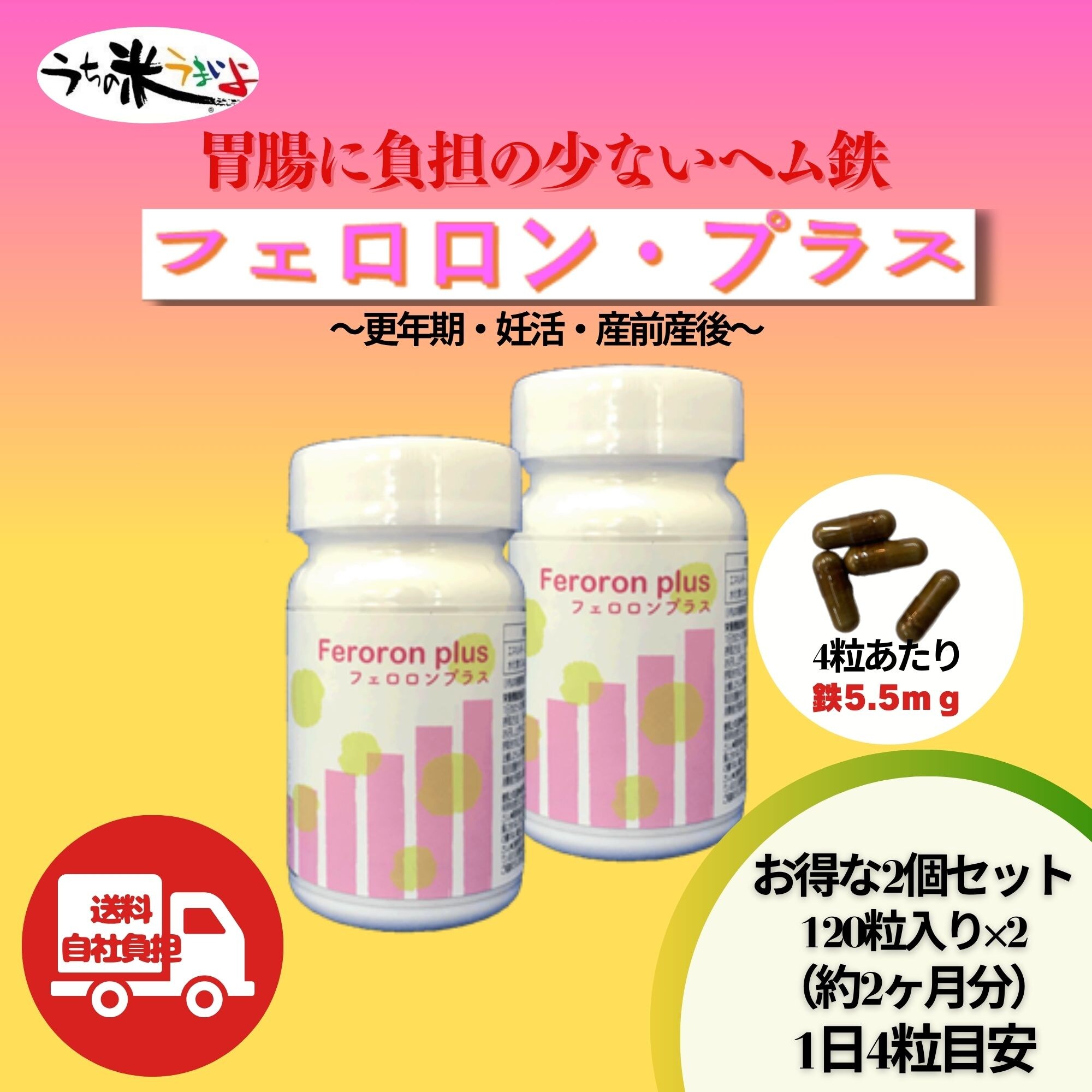 お得2個セット ヘム鉄（1粒239．5mg×120粒） フェロロンプラス