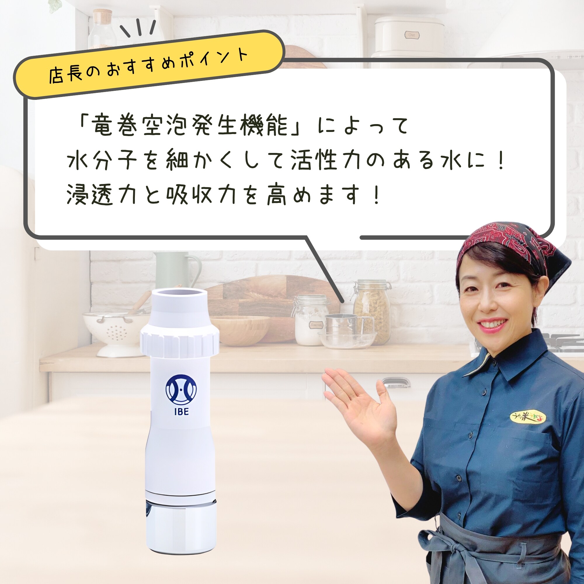 パイアップスリー アクアパイ251浄水器 先端 パイアップスリー アクアパイ251浄水器 先端