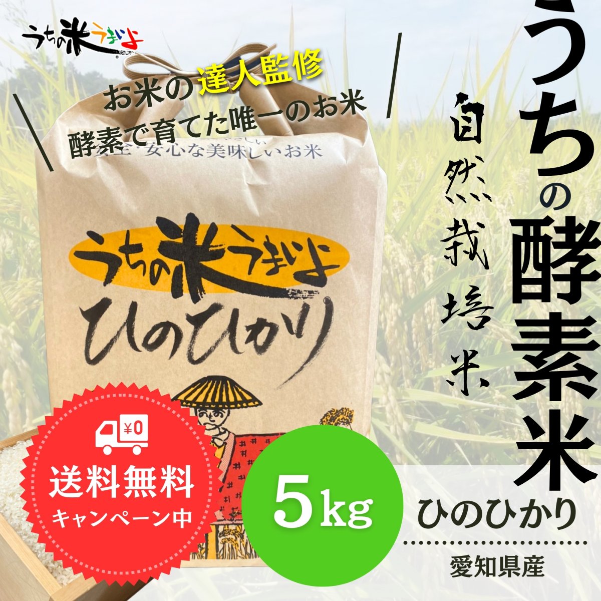 メルマガ会員様限定　送料無料！！5kg　ひのひかり【無農薬米・自然栽培米】愛知県産/2023年度産