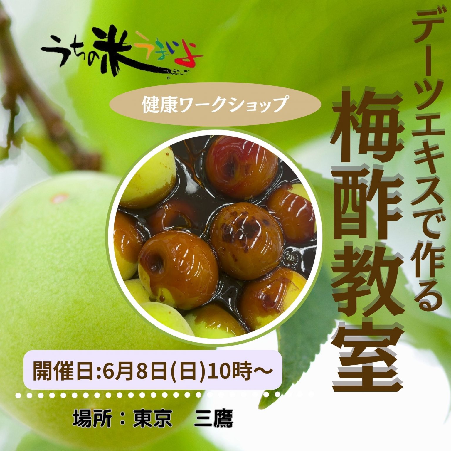 6月8日(日) 健康ワークショップ　デーツエキスで作る発酵梅教室　