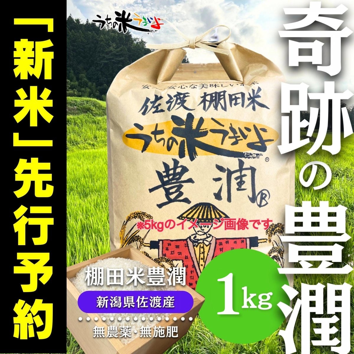 2025年度産『新米』1kg〜先行予約販売　新潟県佐渡島産棚田米〜豊潤®️　2025年10月下旬入荷予定！！