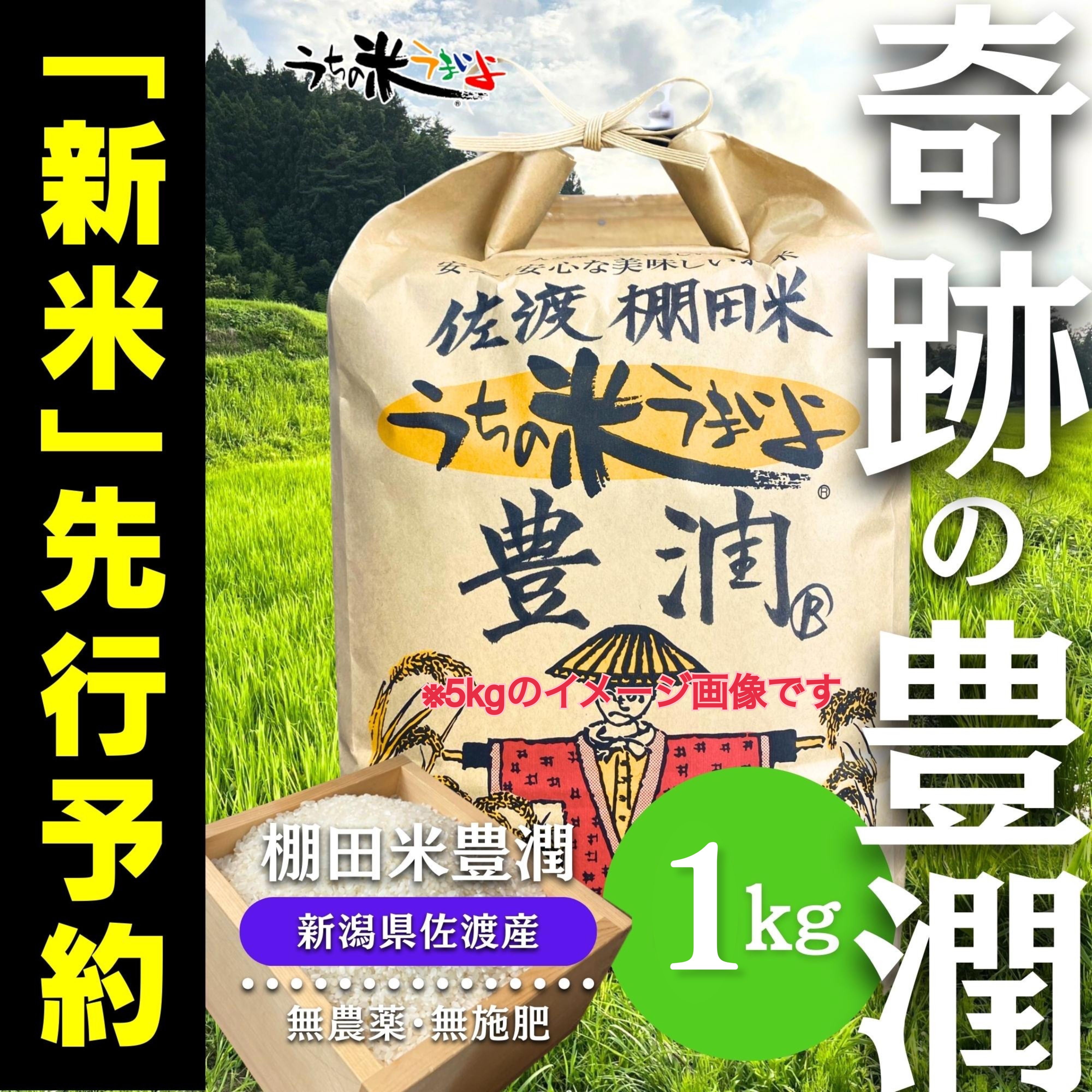 2023年　生産者直送　棚田米　新米 楽天市場】棚田米の通販