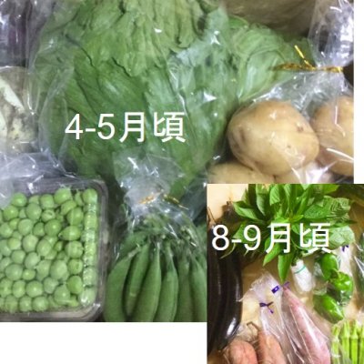 月2箱限定【ぶんちゃんち農園】こだわり..
