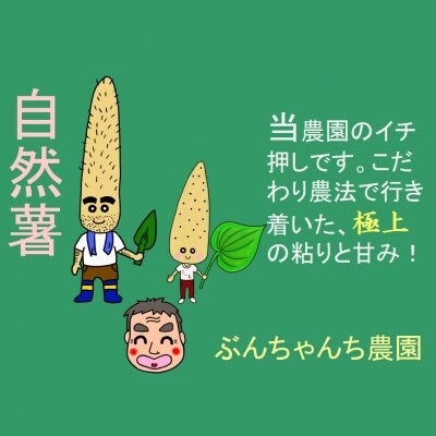 pt還元率2倍！ギフト用に1本モノのみ厳選..