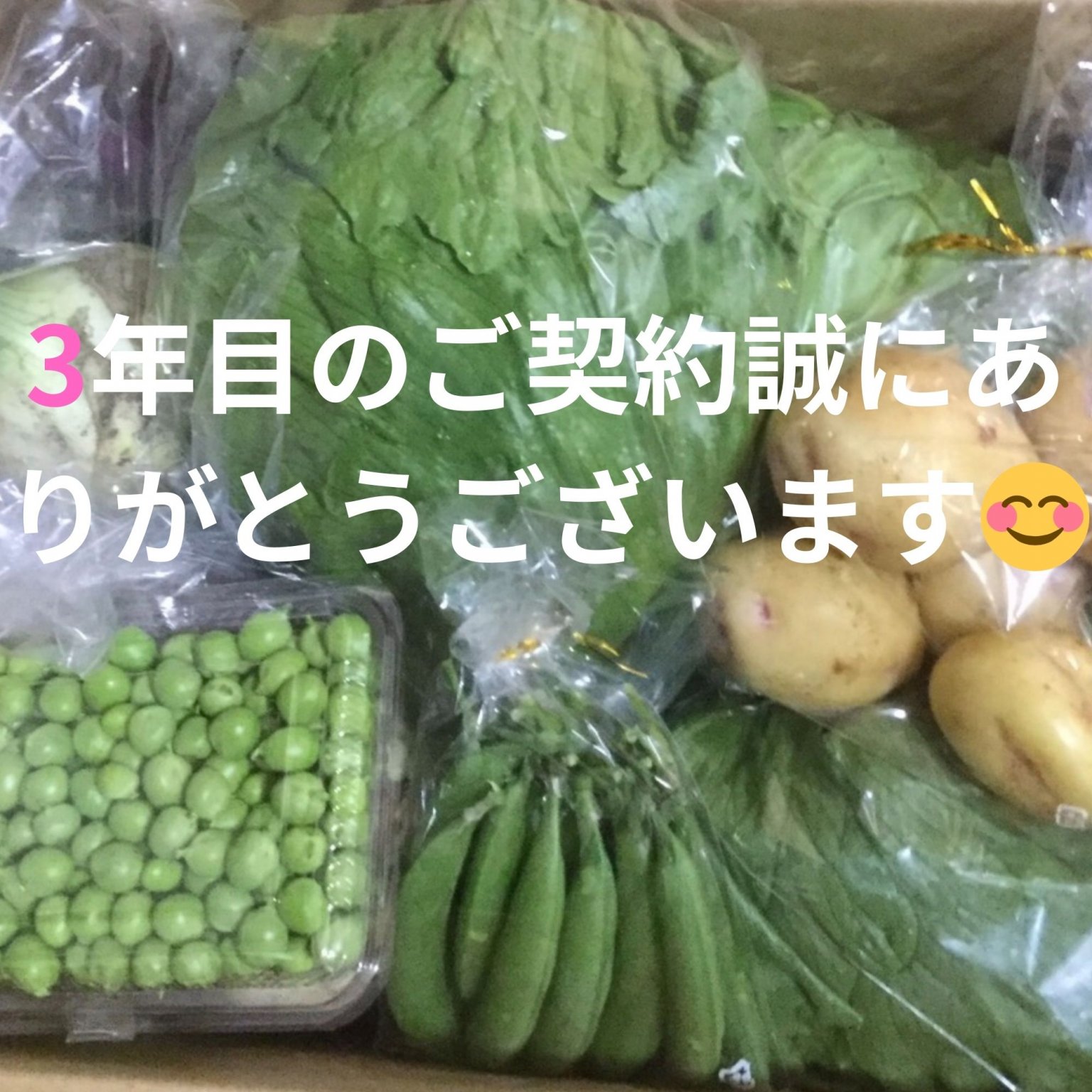 O様専用【ぶんちゃんち農園】農薬不使用・有機肥料のみ使用の旬のこだわり野菜パック/送料込み