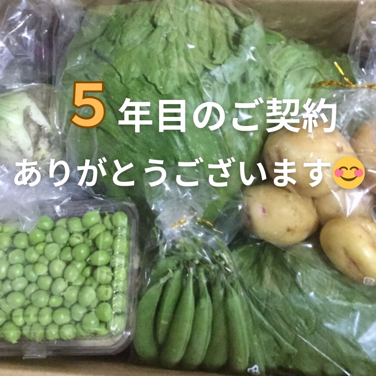 F様専用【ぶんちゃんち農園】農薬不使用・有機肥料のみ使用の旬のこだわり野菜パック/送料込み