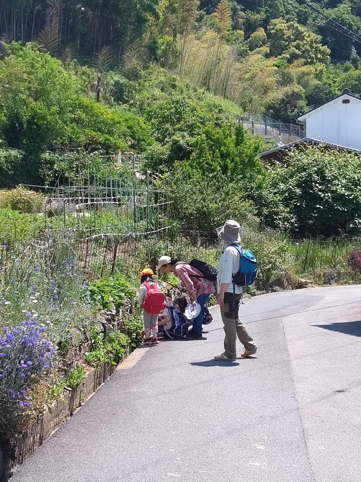 5月10日(土)似島・安芸小富士山登り