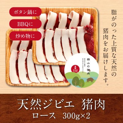 猪肉【ロース約300g×2パック】岡山県産 蒜山の天然ジビエ「イノシシ」（BBQ・炒め物・カレー・シチュー・ぼたん鍋）