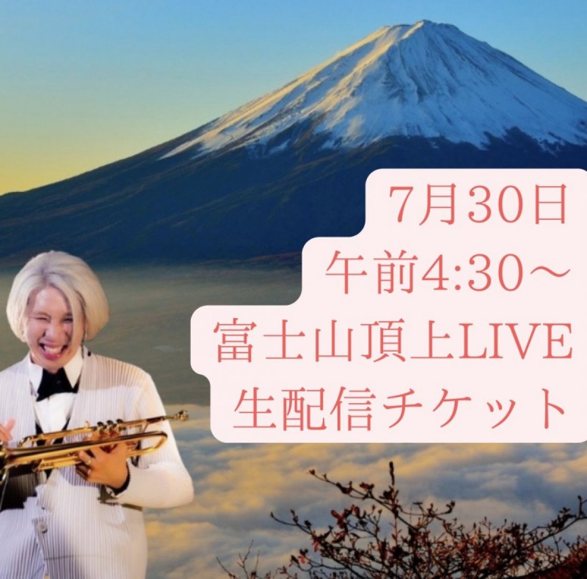 富士山頂上生LIVE配信チケット