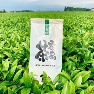 霧島茶　香緑（茶葉100ｇ入）｜今吉製茶