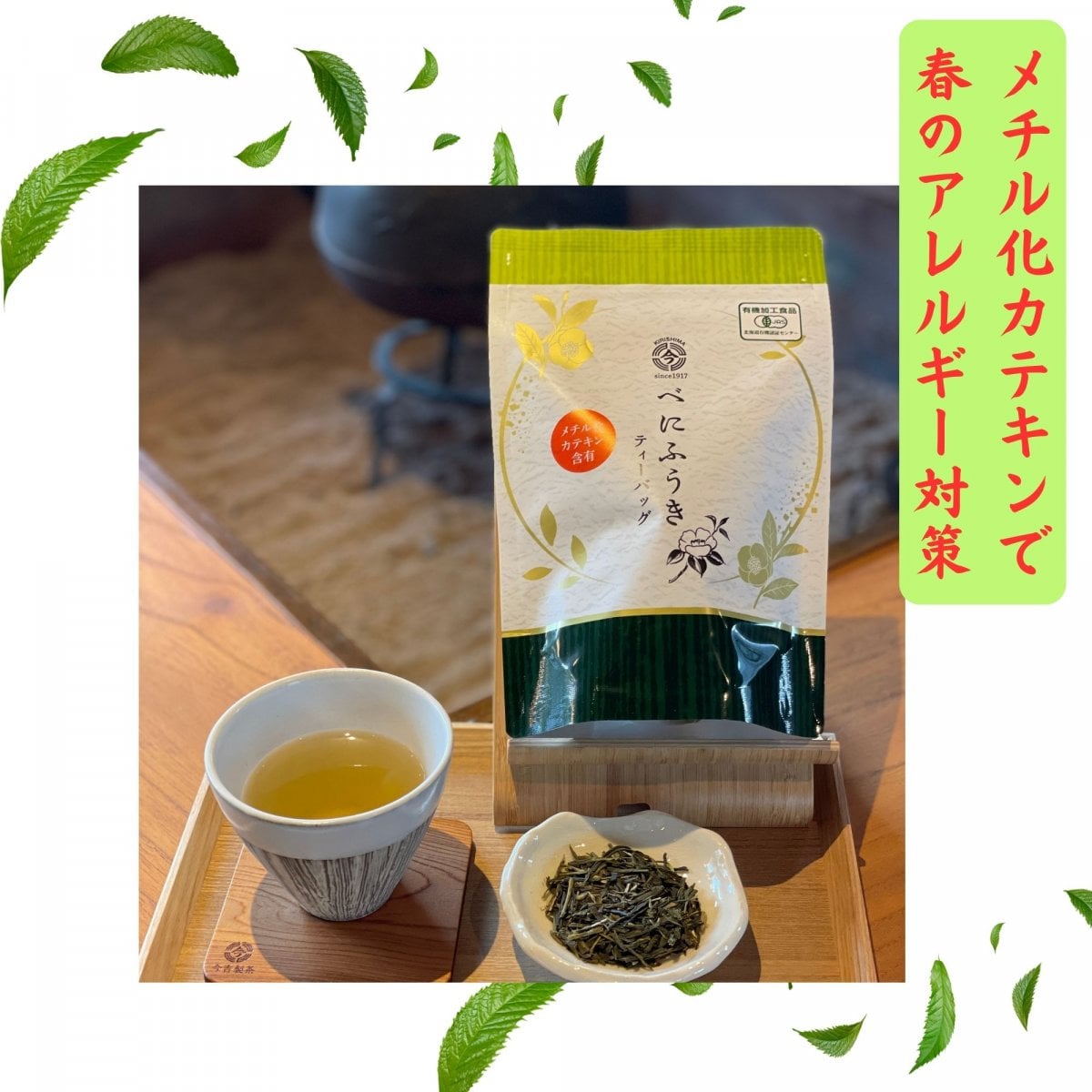 【有機/オーガニック】べにふうき緑茶(ティーバック2g×30P入り)｜今吉製茶