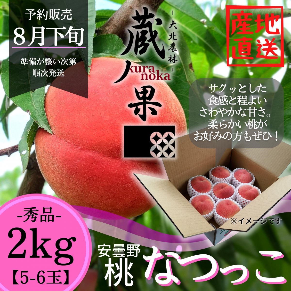 安曇野産桃【なつっこ】2kg 5〜6玉 予約販売8月下旬〜 蔵ノ果kuranoka