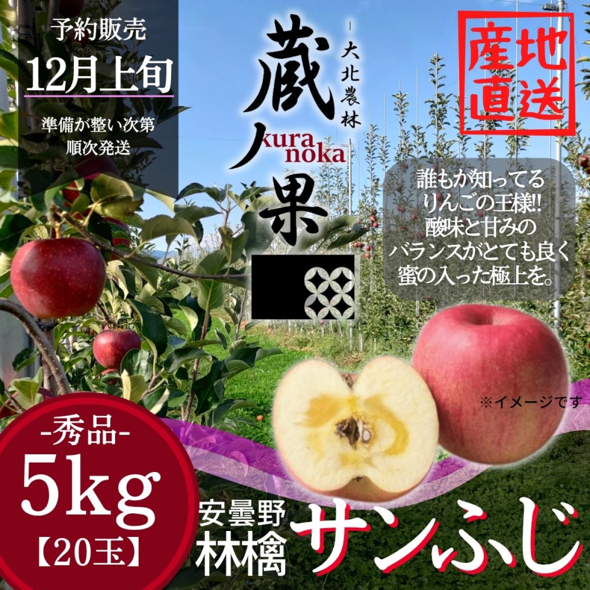 サンふじ【5kg-20玉】長野県安曇野産りんご/予約販売