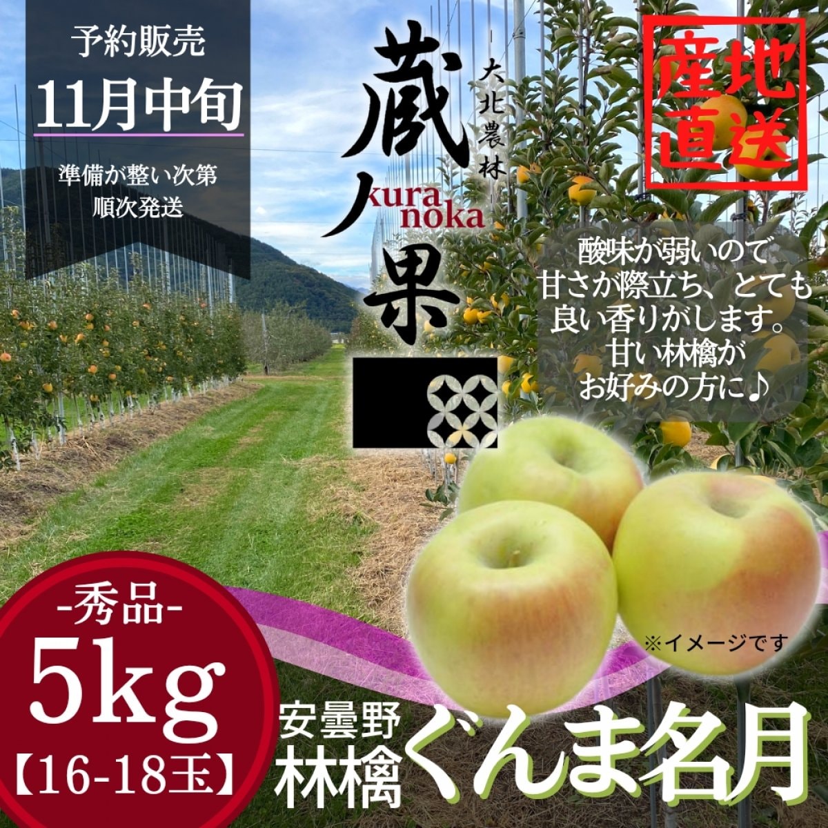 ぐんま名月【5kg16-18玉】長野県安曇野産りんご/予約販売