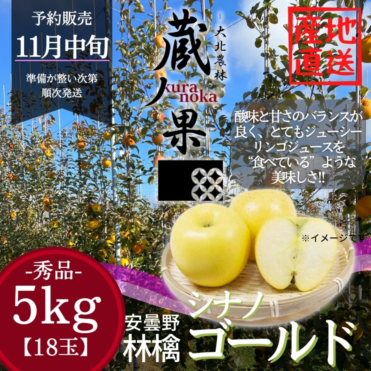 シナノゴールド【5kg-18玉】長野県安曇野産りんご/予約販売
