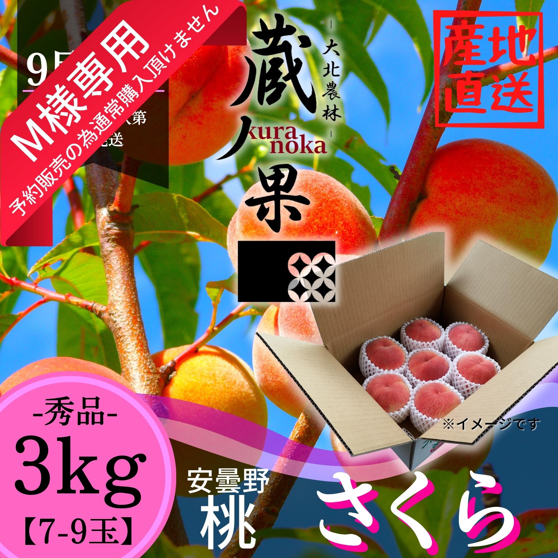 M様専用商品】安曇野産桃【さくら】3kg 7〜9玉 9月下旬〜 蔵ノ果kuranoka