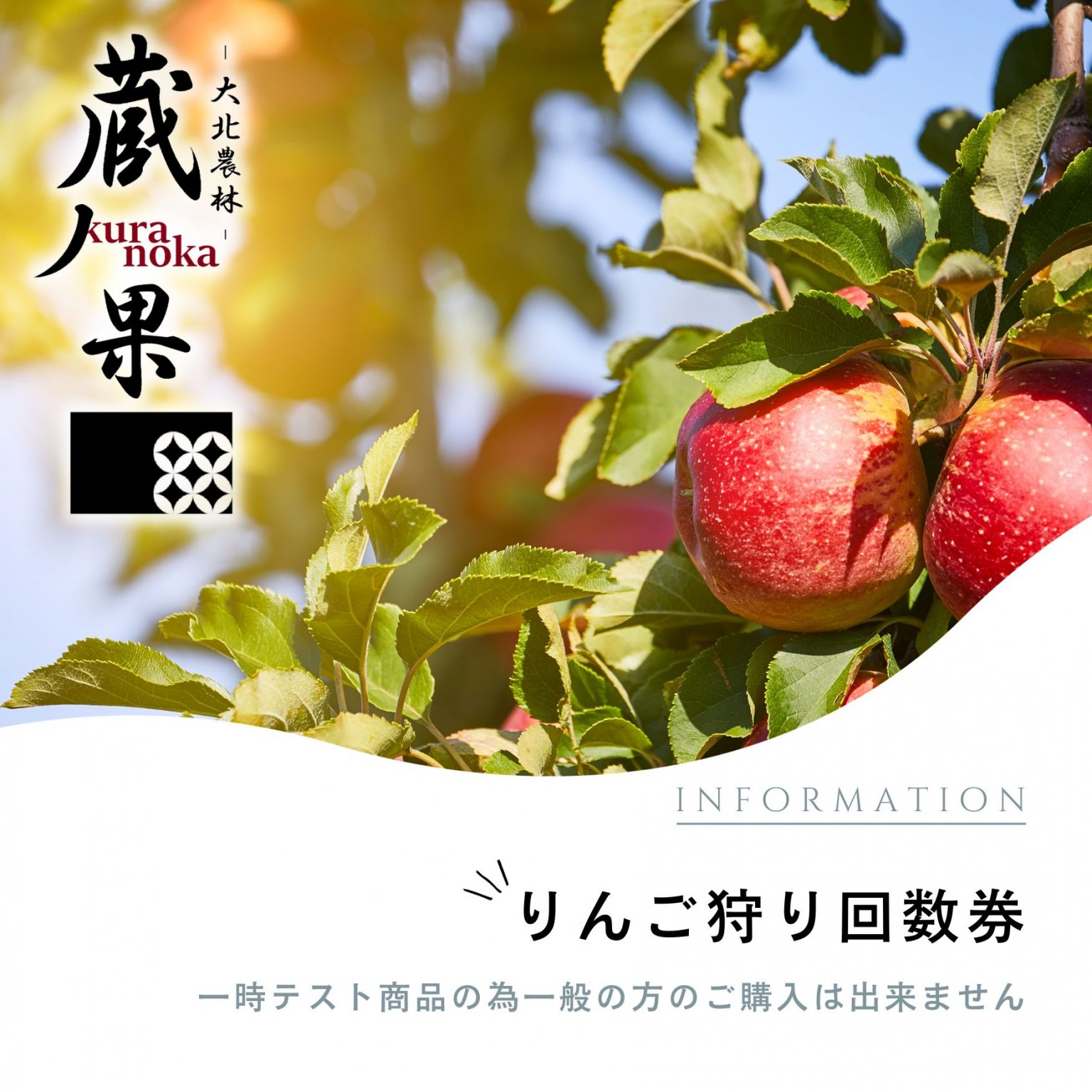 りんご狩り回数券【一時テスト商品】