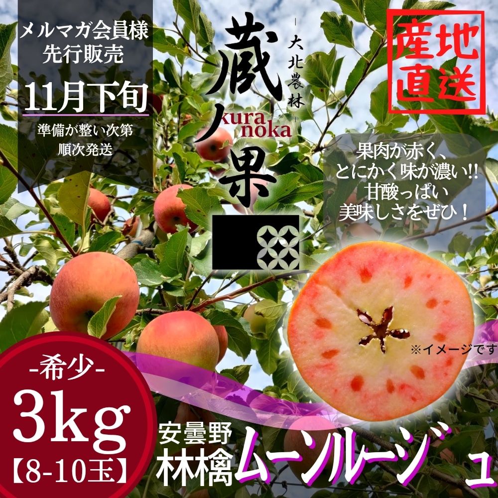 ムーンルージュ【3kg8-10玉】2023年11月26日(日)17:30〜メルマガ会員様限定販売/長野県安曇野産りんご/予約販売