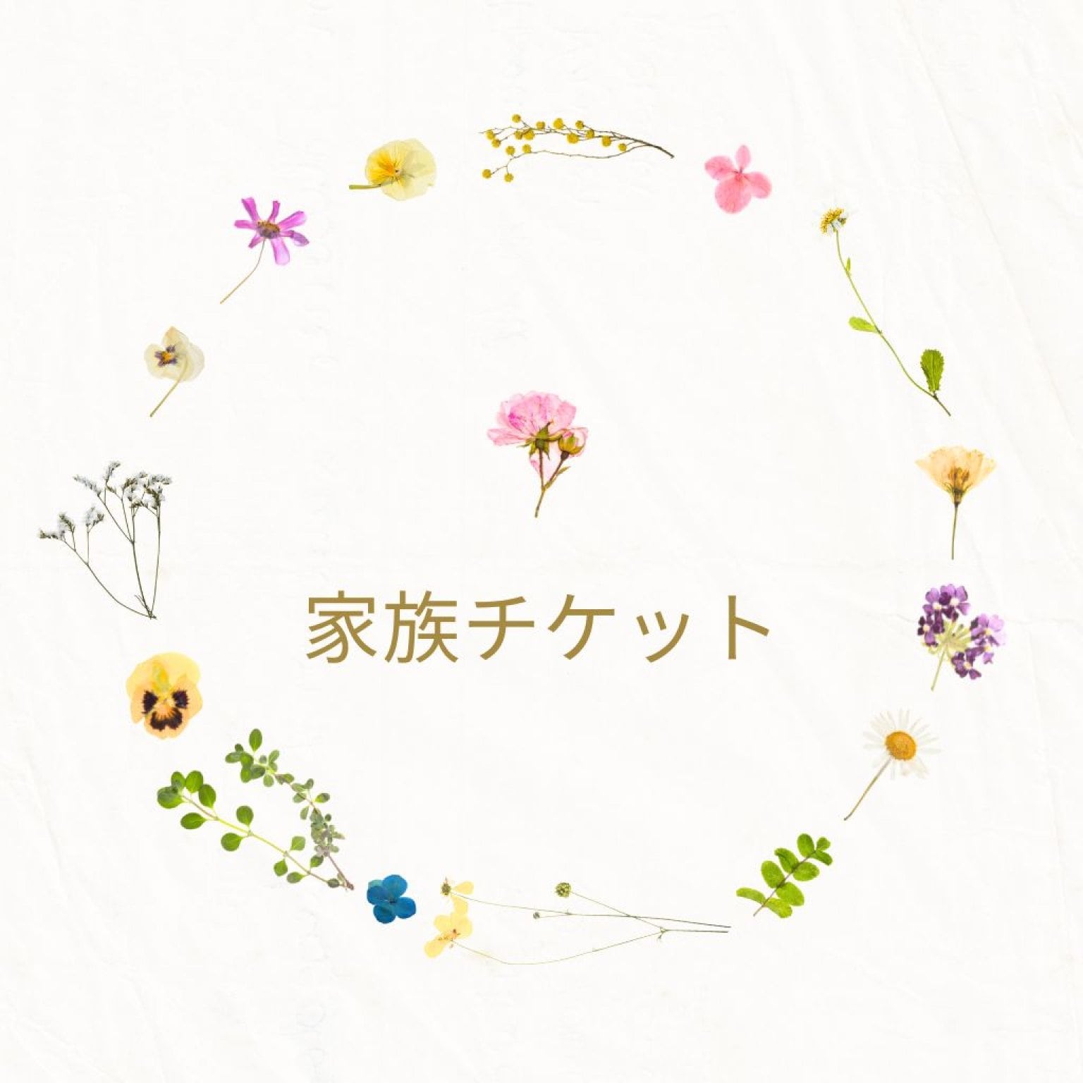  親子出張整体・イトオテルミーチケット【ママ・小学生以下２名】