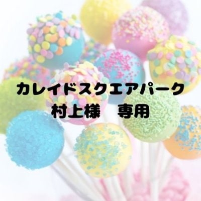 カレイドスクエアパーク村上様　専用　2月分