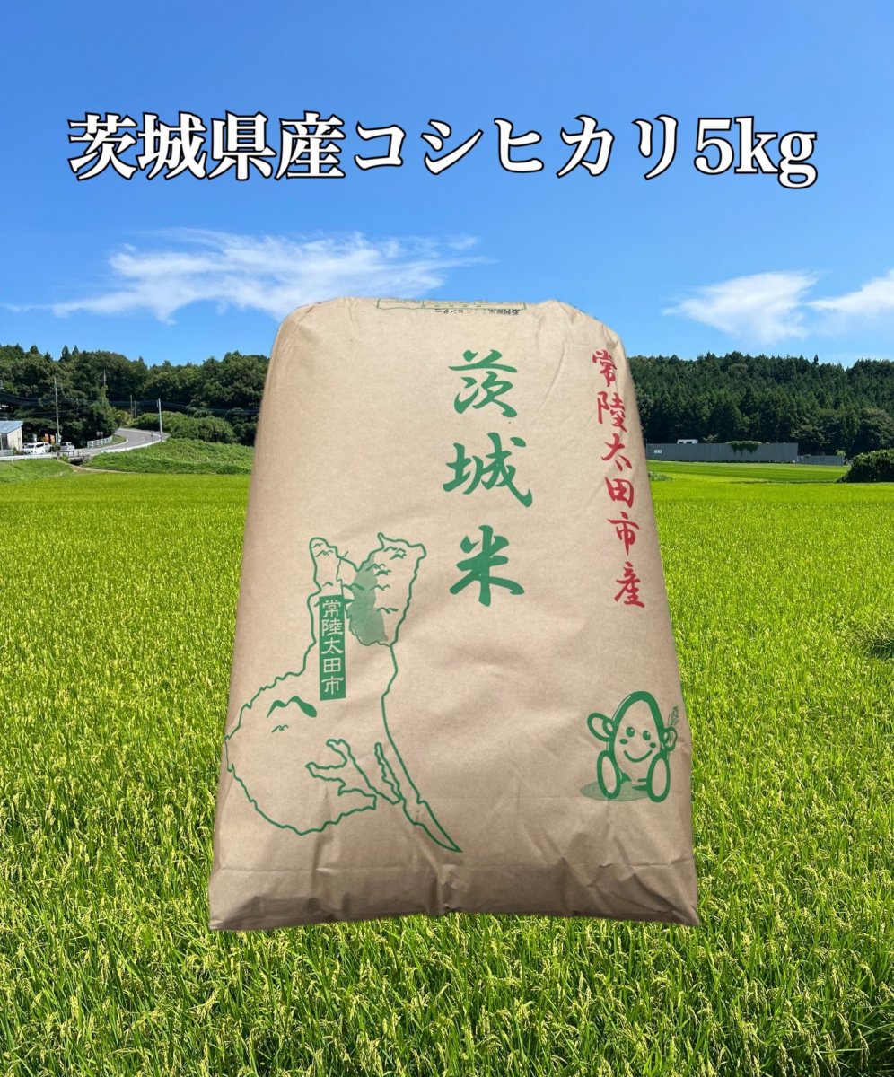 【白米】令和5年産コシヒカリ（茨城県産) 5kg